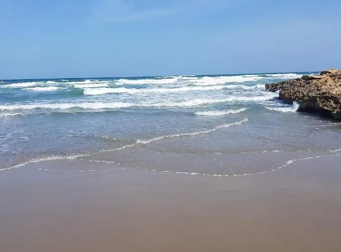 Casa La Florida Orihuela